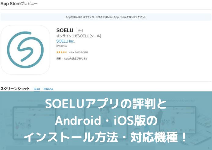 SOELUアプリの評判